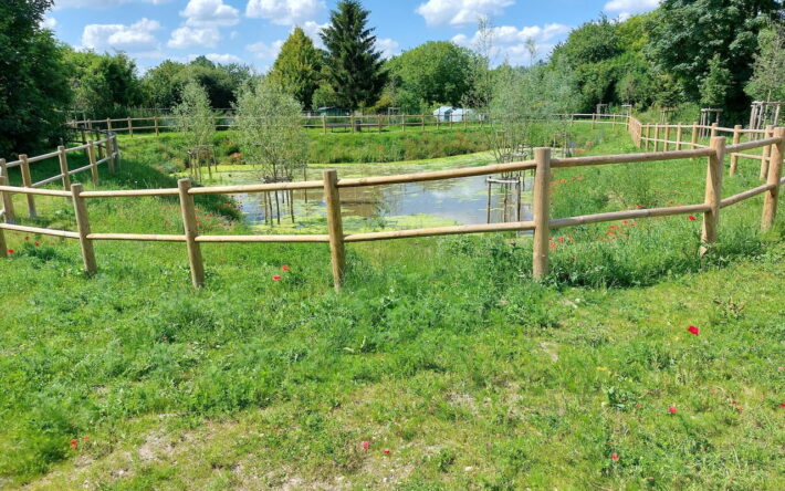 Le bassin recueille l’eau des avaloirs de voirie voisins - Crédits photo : Banque des Territoires