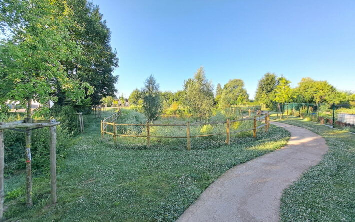 Le bassin d’infiltration de la rue d’Ovillers a été planté d’arbres fruitiers sur ses abords - Crédits photo : Banque des Territoires