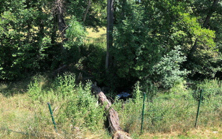 Les eaux de la station de Blacé se jettent dans le Bief du Lay et constituent, à certaines périodes de l’année, son unique source d’alimentation. Ce cours d’eau alimente ensuite le marais de Boistray (Natura 2000) - Crédits photo : Banque des Territoires