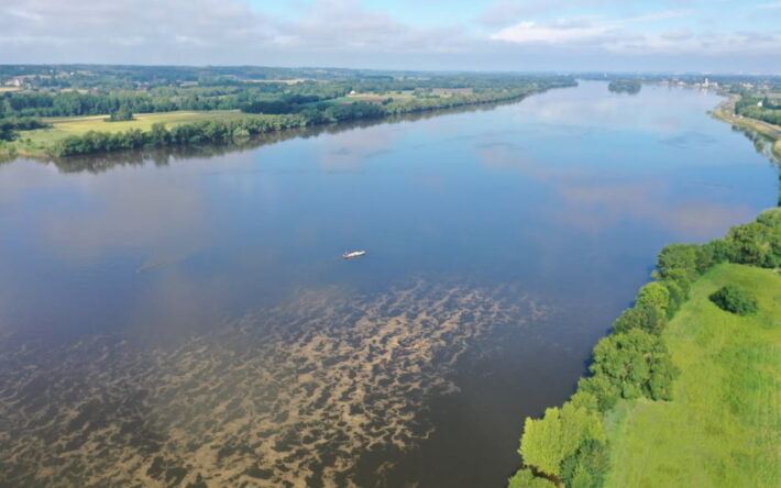 Exercice d’alerte de juin 2024 : simulation d’une pollution en Loire avec du son de riz qui a la parti-cularité de se comporter comme une nappe d’hydrocarbure - Crédits photo : Réseau Loire Alerte