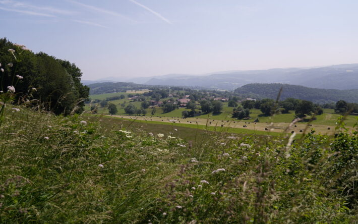La commune de Valoreille, en zone AOP Comté, regroupe 130 habitants, un gros cheptel de bétail et une fruitière. Crédit photo : Banque des Territoires