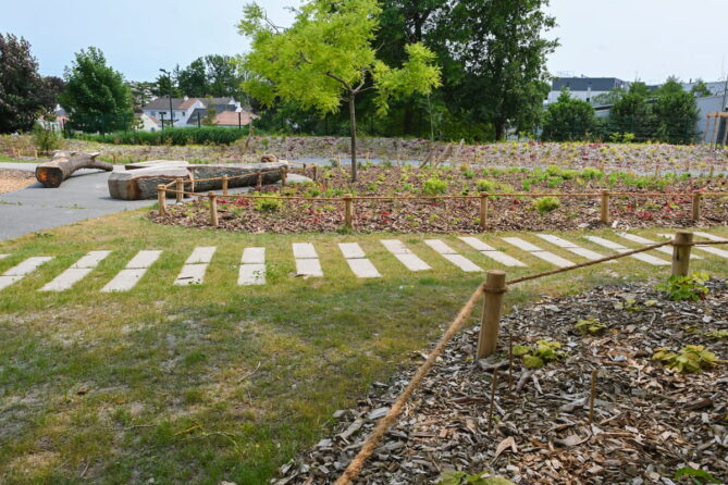 La cour de l’école de la Ferrière renaturée – mai 2025 - Crédits photo : Banque des Territoires