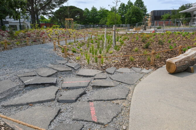 La noue est un espace végétalisé qui récupère les eaux pluviales de manière gravitaire, dans la partie basse de la cour - Crédits photo : Banque des Territoires