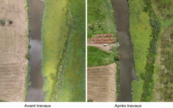 Le Don étant en surlargeur sur le secteur, les travaux ont conduit à conserver le chenal et resserrer le lit de la rivière en contenant la jussie pour éviter qu’elle recouvre totalement le Don - Crédits photos : Syndicat Chère Don Isac