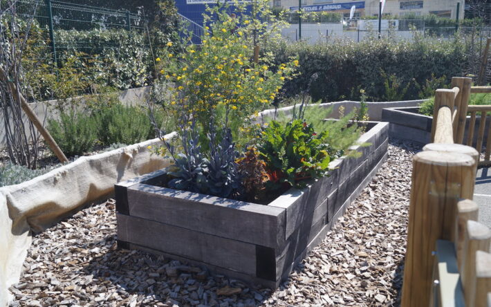 Nouveaux bacs potagers de l'école Monge Roustan – Crédits photo : Banque des Territoires