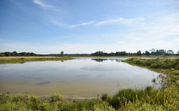 La restauration des mares à Davrey - Crédits photo : Banque des Territoires