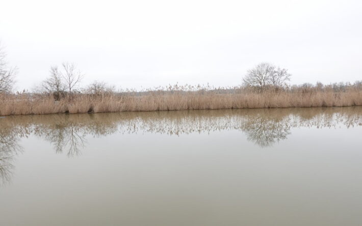 Les bords de l'étang - Crédit photo : Banque des Territoires