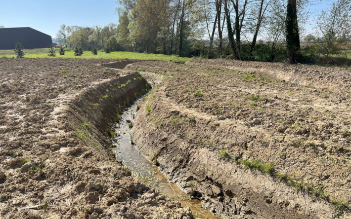 La station est équipée d’une zone de rejet végétalisé constituée de deux bassins de 15 à 30 cm d’eau et de deux fossés méandreux avant le rejet au milieu naturel - Crédit photo : Claire Pourprix
