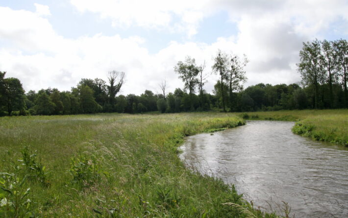La parcelle disponible donnera lieu prochainement à une gestion adaptée afin d’aménager les berges et d’éviter le développement des espèces invasives. Crédit photo : Sébastien Hennebique