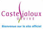logo-casteljaloux-aquagir