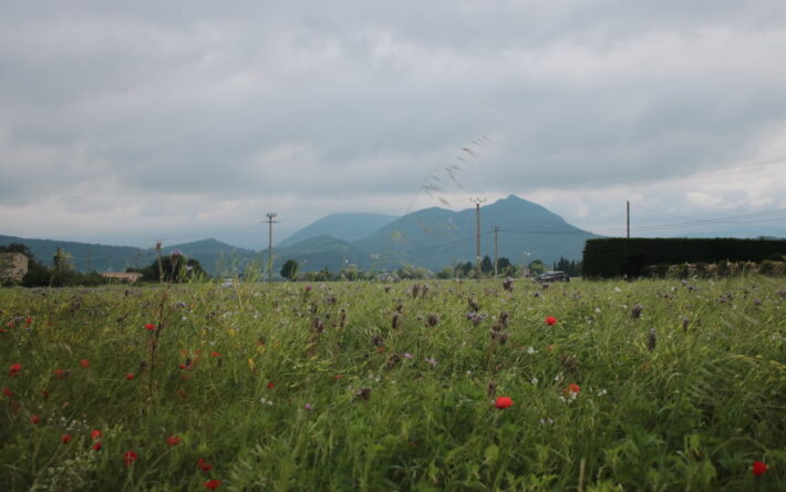 Le SIEBRC regroupe 20 communes : 15 communes de Montélimar Agglomération et 5 de la communauté de communes Dieulefit-Bourdeaux - Crédit photo : Banque des Territoires
