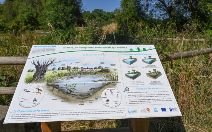 11 panneaux d'interprétation présentent les stades d'évolution naturelle des mares et les espèces que l'on peut y trouver - Crédits photo : Banque des Territoires