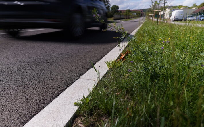 2 zones de noues de 400 mètres linéaires traitées en cuvette encadrent la route. Le dévers de la route ainsi que l'absence de bordure, permet à l’eau de rejoindre les noues et de s'infiltrer. - Crédit photo : Banque des Territoires