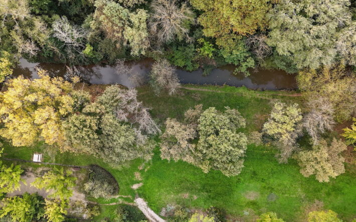La ripisylve de l’Arc restaurée sur 460 mètres au Canet de Meyreuil : un corridor végétal reconstitué au cœur de la zone d’expansion des crues. - Crédit photo : Kevin Ouassel