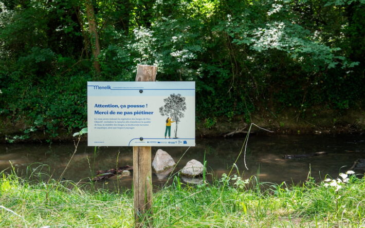 Un dispositif de sensibilisation invite les promeneurs à préserver les jeunes plants : « Attention, ça pousse ! » - Crédit photo : Kevin Ouassel
