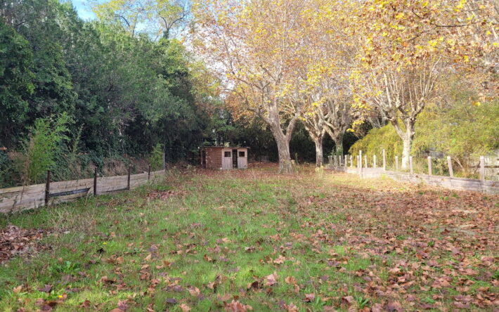 Les abords du lac, bordés de platanes et de haies anciennes, accueilleront des aménagements légers dédiés à la découverte de la faune et de la flore locales. - Crédit photo : Mairie de Valréas