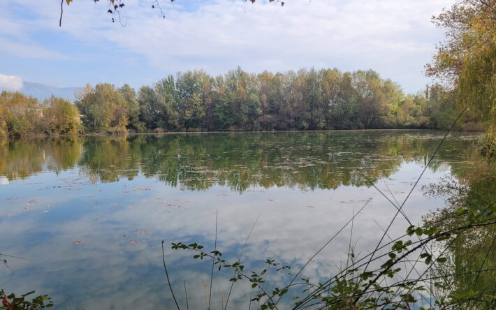 Né d’une ancienne carrière comblée naturellement, la lac de Valréas, plan d’eau de deux hectares abrite une biodiversité riche : poissons, libellules et végétation rivulaire typique des zones humides. - Crédit photo : Mairie de Valréas