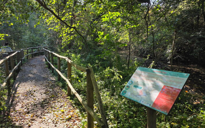 Une promenade ponctuée de panneaux explicatifs a été aménagée le long de la Petite Cisse, affluent de la Cisse. - Crédit photo : Banque des Territoires