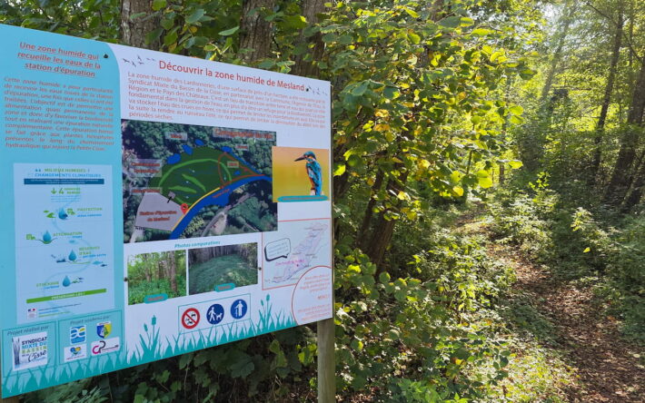 Restaurée par le syndicat du bassin de la Cisse, la zone humide du Mesland est aménagée pour des visites pédagogiques du public. - Crédit photo : Banque des Territoires