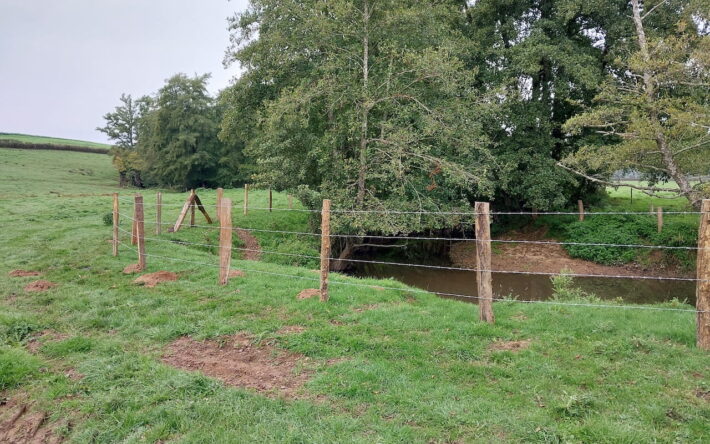 De 2015 à 2024, 185 km de cours d’eau ont été clôturés, et 60 km en plus sont prévus su 2025-2027. - Crédit photo : SMi2B