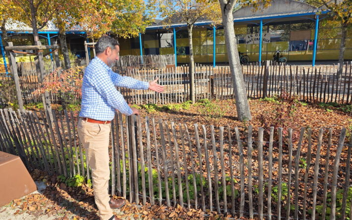 Un ilot de verdure agrémente la cour d’école rénovée - Crédit photo : Banque des Territoires
