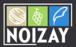 logo-noizay-aquagir