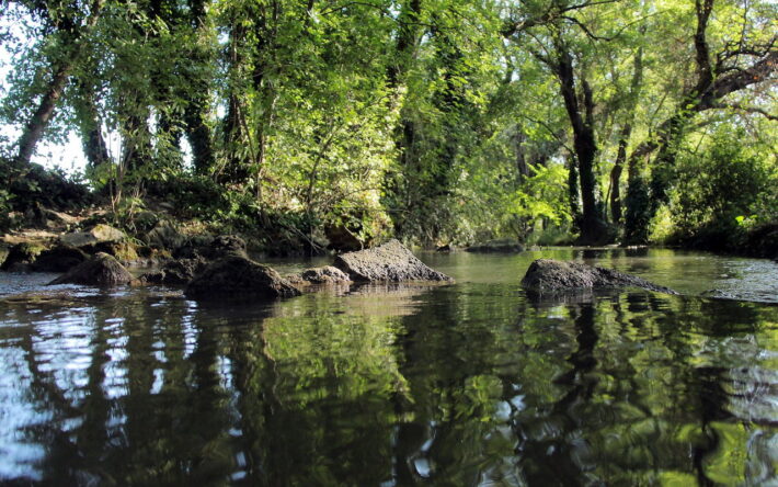 Le podcast Eaux Vives s’attache aux rivières, comme ici La Touloubre, comme à de véritables personnages. Crédit photo : Jean-Pierre Vallorani