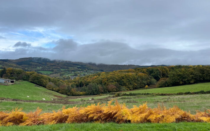 La communauté de communes, qui s’étend sur 1 200 km2, a alloué une aide à 75 bénéficiaires depuis 2023 - Crédit photo : Claire Pourprix