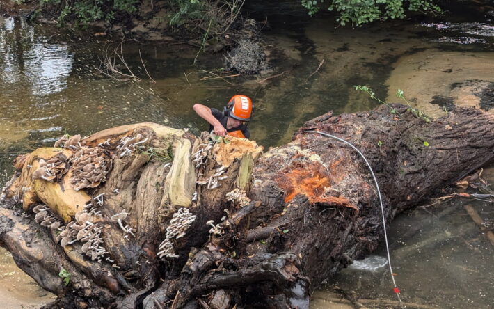 Une part importante du chantier a consisté en l’enlèvement des embâcles qui encombraient le lit du Prunelli. 3500 m3 laissés par la tempête Fabien de 2019 et qu’il a fallu évacuer. - Crédit photo : Banque des Territoires