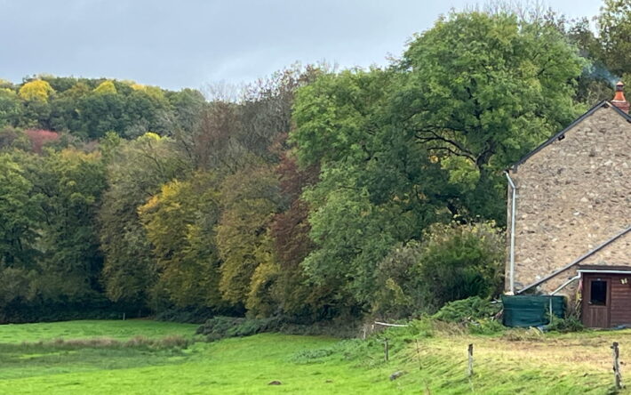Depuis 2023, les habitants, municipalités et entreprises du territoire peuvent recevoir une aide à l’achat d’un récupérateur d’eau - Crédit photo : Claire Pourprix