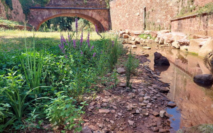 L’Ady retrouve son cours naturel – Crédit photo : Banque des Territoires