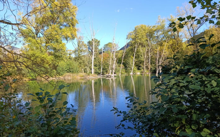 Vues des trois plans d’eau rendus à la nature - Crédit photo : Laure Buquet
