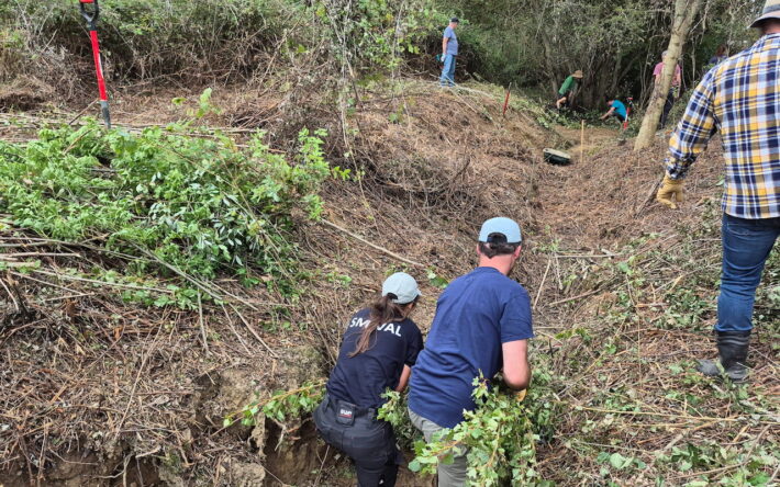 Construction d’un barrage filtrant mimétique (castors) - Crédit photo : SMIVAL