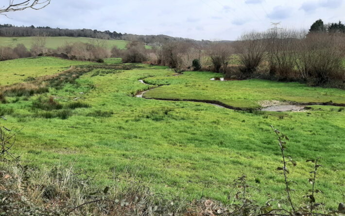 Douarnenez, Le Carbon (2024) - Crédit photo : Banque des Territoires