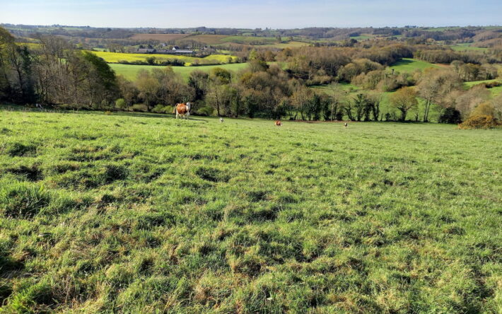 Commune de Plogonnec - Crédit photo : Banque des Territoires