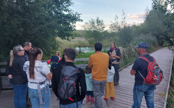 L’une des sorties grand public organisées pour faire connaître le dispositif et la biodiversité locale - Crédit photos : Communauté de Communes des Portes de Rosheim (Esther Foulon)