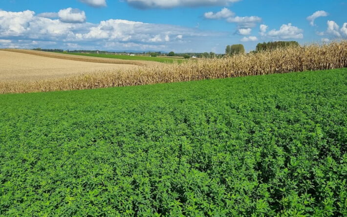 Deux parcelles concernées par les PSE - Crédit photo :  Julien Loisel / SDEA