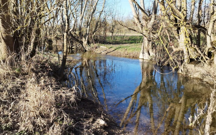 Après les travaux sur l’amont de l’Aume le cours d’eau a retrouvé une dynamique et une diversité d’habitats - Crédits photo : SMABACAB