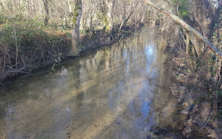 Des problèmes d'assèchement et un appauvrissement des habitats touchaient ce cours d’eau avant la restauration - Crédits photo : SMABACAB