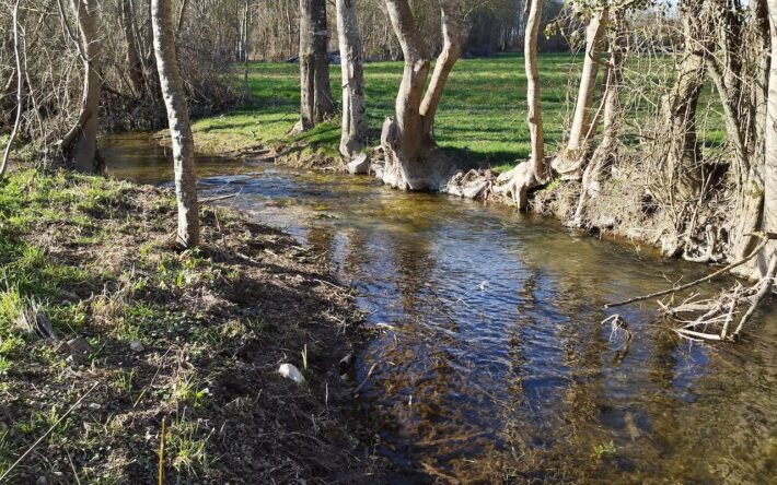 Une rehausse immédiate du niveau de la nappe a été constatée après les travaux - Crédits photo : SMABACAB