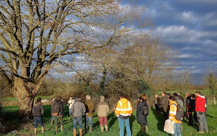 En février 2024, le syndicat Chère Don Isac (SCDI) et le Conseil de Développement du Pays de Blain, appuyés par de nombreux partenaires, ont organisé une journée technique à Bouvron, propo-sant aux 70 participants des ateliers sur l’intérêt et la valorisation des haies bocagères. - Crédit photo : SCDI