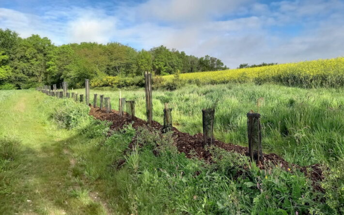 En février 2024, le syndicat Chère Don Isac (SCDI) et le Conseil de Développement du Pays de Blain, appuyés par de nombreux partenaires, ont organisé une journée technique à Bouvron, propo-sant aux 70 participants des ateliers sur l’intérêt et la valorisation des haies bocagères. - Crédit photo : SCDI