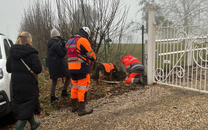 Six chiens accompagnés de maîtres sont intervenus dans la recherche de fuites - Crédits photo : CC Caux-Austreberthe