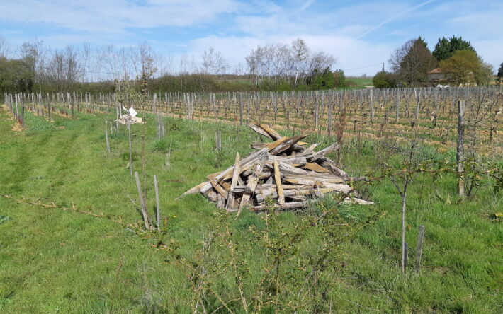 Installation de tas de bois - Crédits photos : Fédération Départementale des Chasseurs du Jura