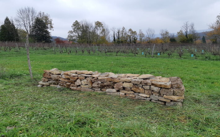 Création de murger en pierres - Crédits photos : Fédération Départementale des Chasseurs du Jura