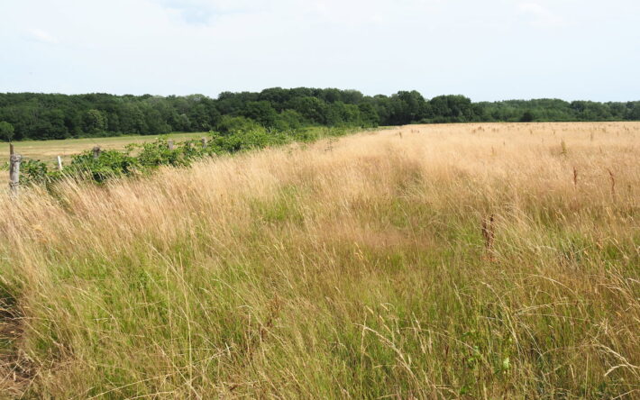 Retard de Fauche - Crédits photos : Fédération Départementale des Chasseurs du Jura