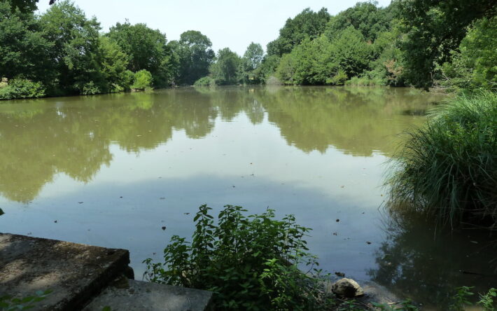 Les étangs sont particulièrement nombreux sur le bassin de la Creuse et constituent l’usage prélevant le plus d’eau, par évaporation - Crédits photo : EPTB Vienne