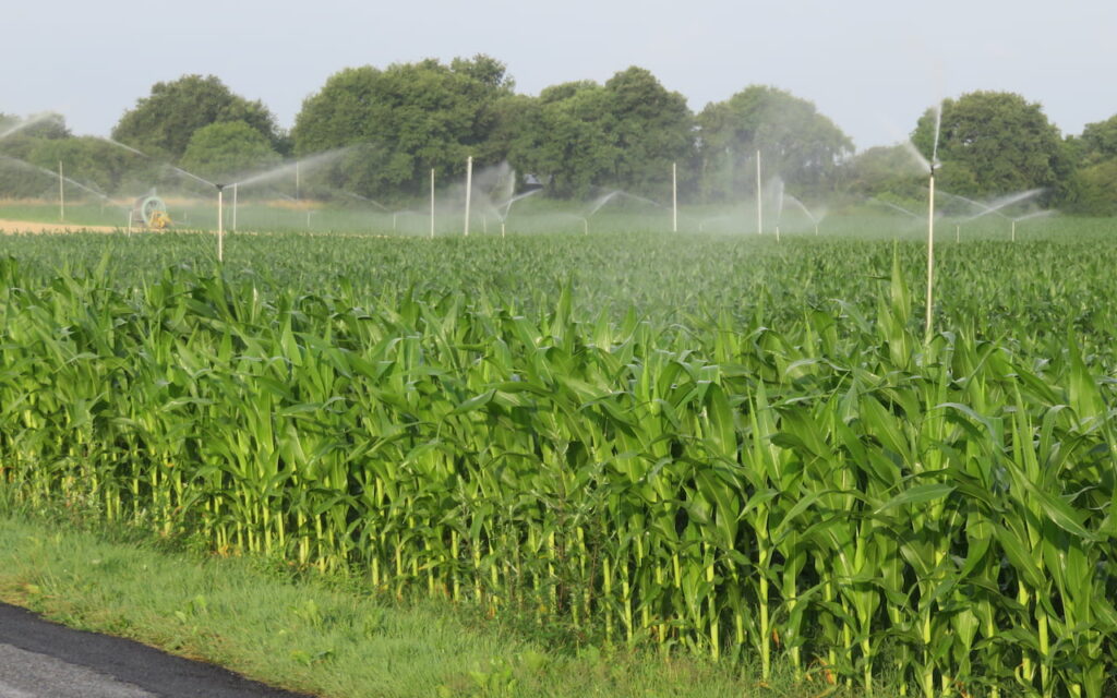 Étude HMUC Creuse (87) : une réduction des prélèvements d’eau indispensable d’ici 2050