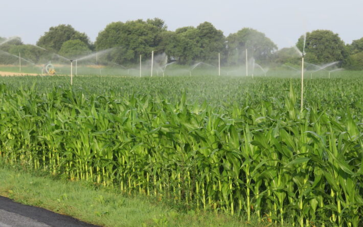 L’irrigation est l’un des usages sollicitant la ressource au moment où elle est la moins présente - Crédits photo : EPTB Vienne