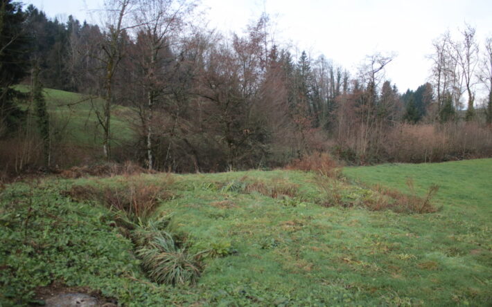 À la sortie de ce traitement par biodisques, une zone végétalisée permet une dernière filtration avant le rejet dans le ruisseau - Crédits photo : Banque des Territoires